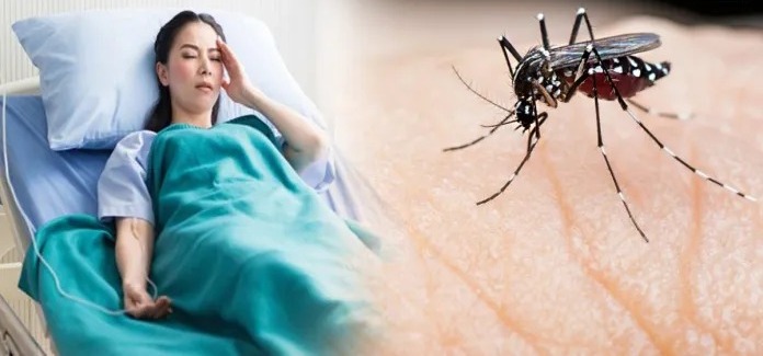 उत्तर प्रदेश : अलर्ट मोड पर सरकार डेंगू ने दी दस्तक, नोएडा में मिले दो केस, ऐसे करें बचाव