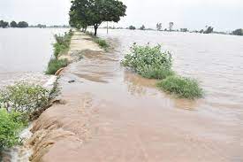 Punjab Flood: बाढ़ के चलते सभी सरकारी स्कूलों में तीन दिनों का अवकाश, 5 दिन का येलो अलर्ट जारी…