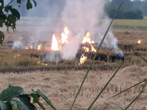 यूपी के इस जिले में पराली जलाने पर 27 किसानों पर कार्रवाई, नोटिस देकर मांगा जवाब